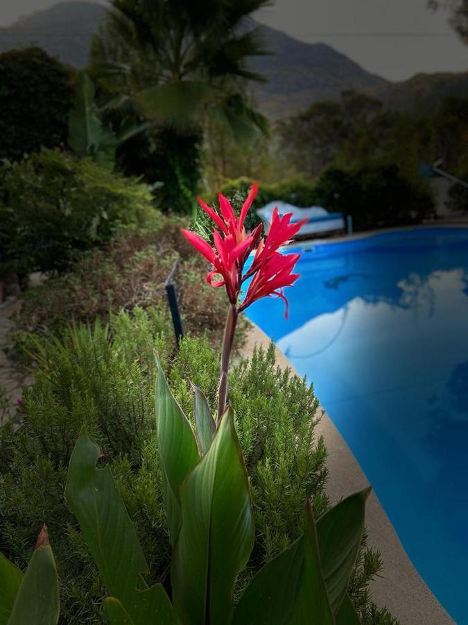 Hotel 212 Olympos Esterno foto